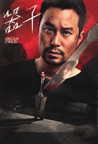 Qi zi