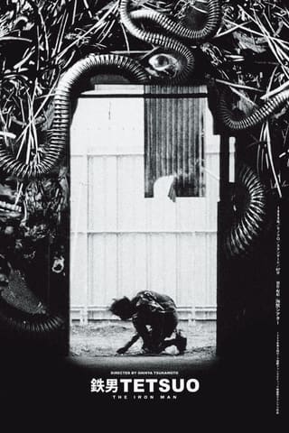 Tetsuo: The Iron Man