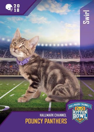 Kitten Bowl VIII
