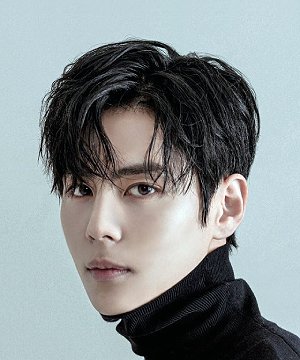 Lee Soo Woong