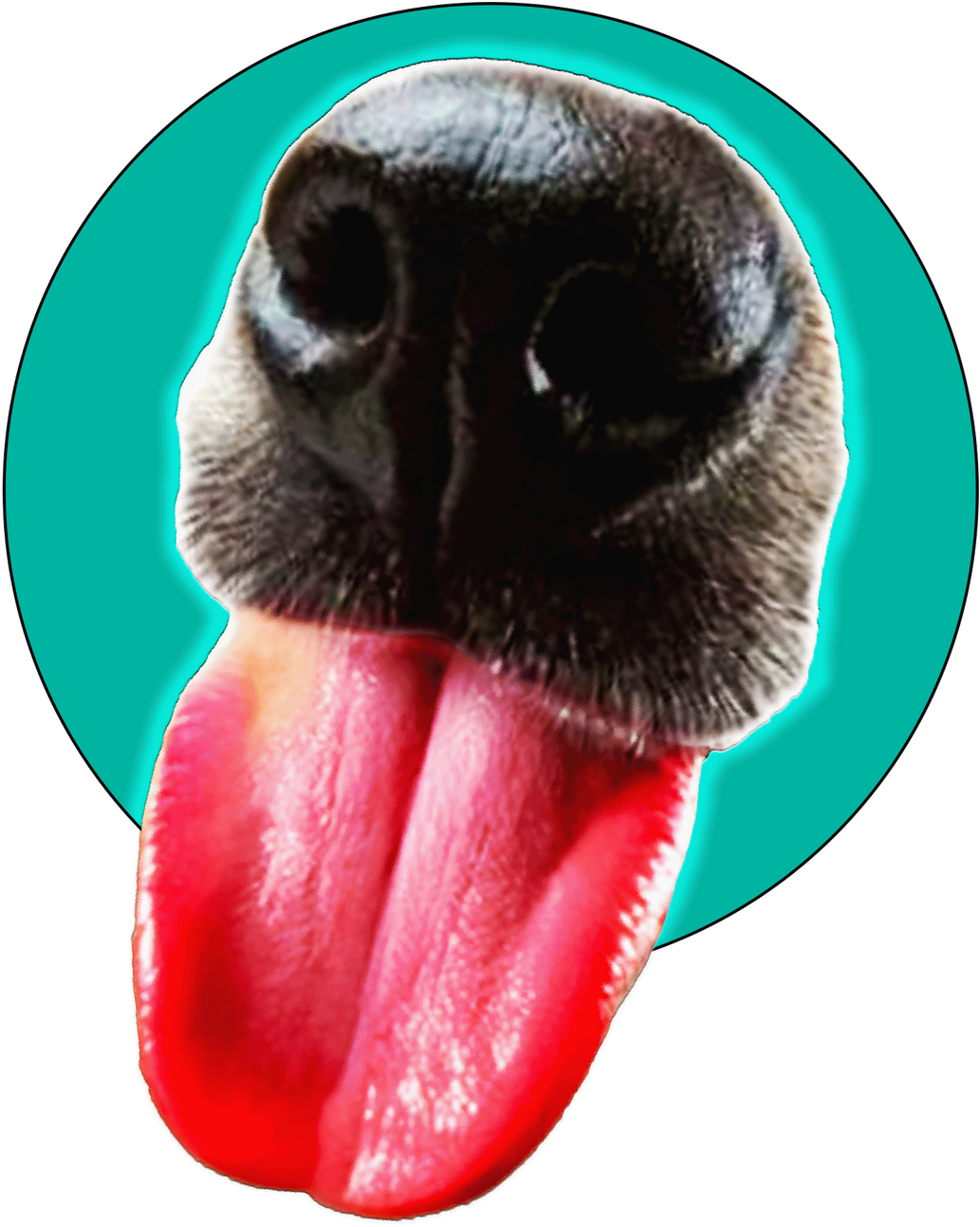 Dog Unlimited