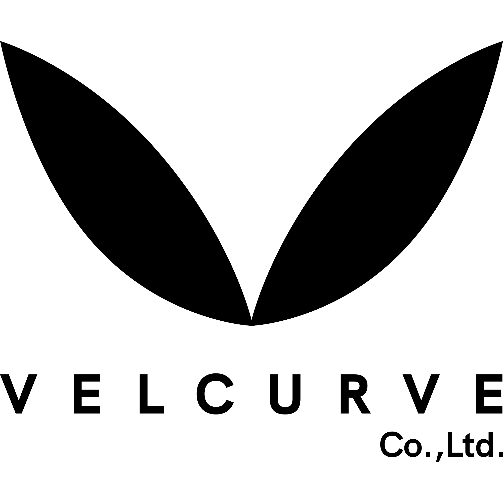 VelCurve Studio